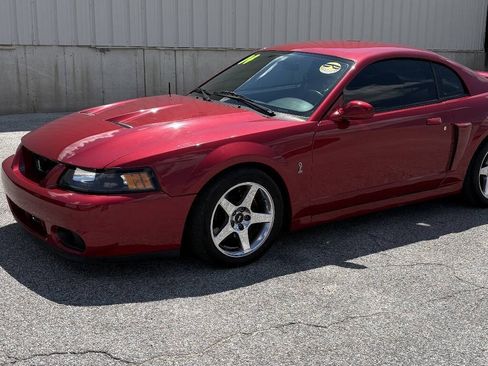 Used 2004 Ford Mustang Cobra RWD image 3