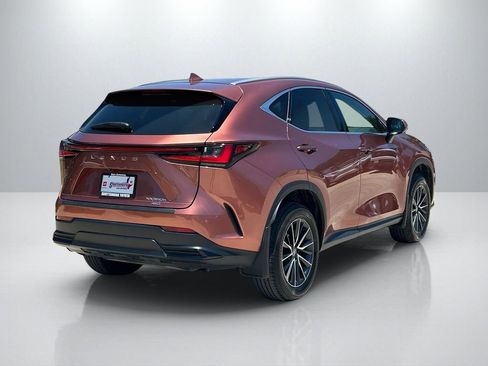 Used 2025 Lexus NX 350h AWD w/ Accessory Package (2T) image 5