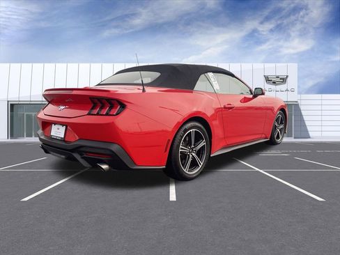 Used 2025 Ford Mustang Premium image 8
