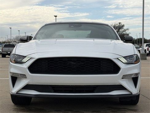 Used 2022 Ford Mustang Premium w/ Equipment Group 201A image 7