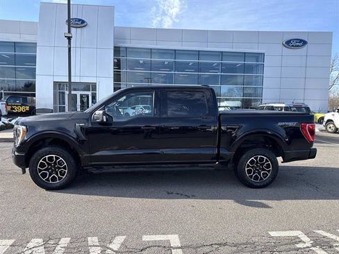 Used 2023 Ford F150 XLT w/ Equipment Group 302A High image 2