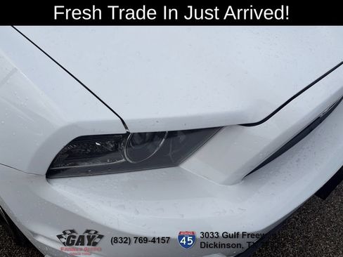 Used 2014 Ford Mustang Premium w/ Equipment Group 202A RWD image 5