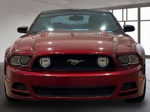 Used 2014 Ford Mustang GT Premium w/ Brembo Brake Package image 3