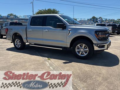 Used 2025 Ford F150 XLT w/ Equipment Group 301A Standard