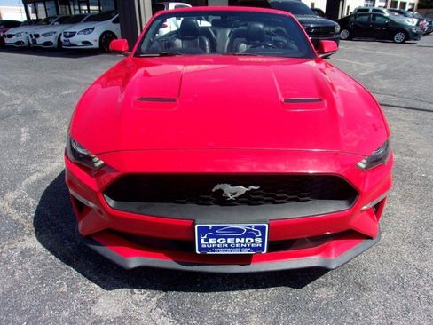 Used 2019 Ford Mustang Premium RWD image 4
