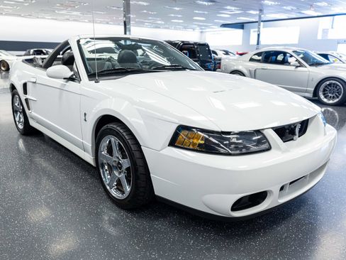 Used 2004 Ford Mustang Cobra RWD image 3