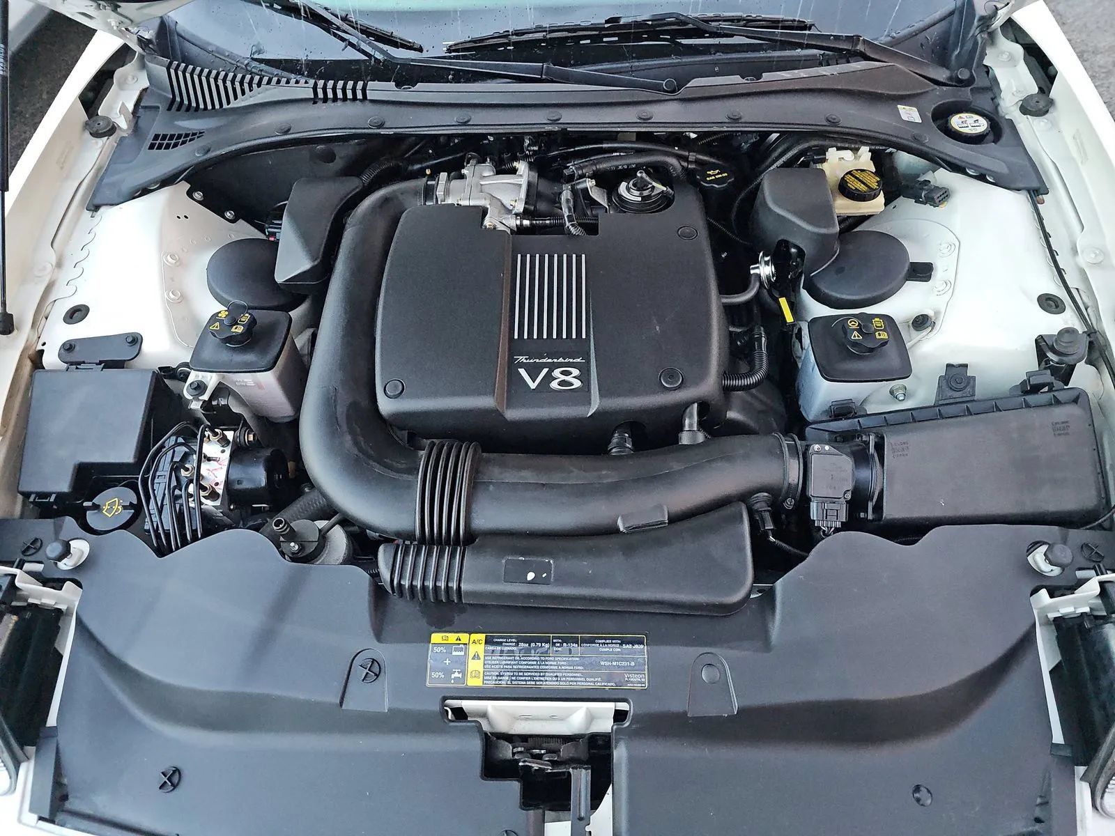 Used 2002 Ford Thunderbird RWD image 6