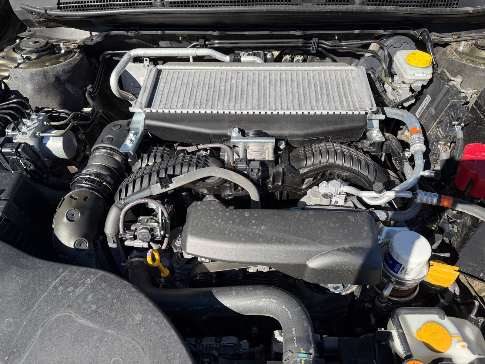 Used 2024 Subaru Outback Wilderness AWD/4WD image 37
