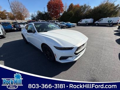 New 2026 Ford Mustang Coupe w/ Mustang Nite Pony Package