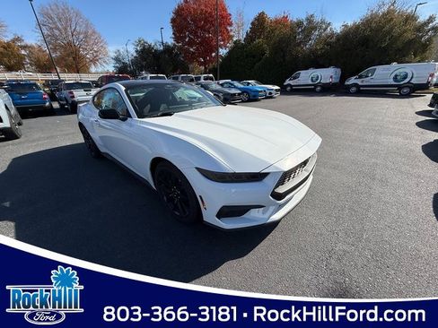 New 2026 Ford Mustang Coupe w/ Mustang Nite Pony Package image 1