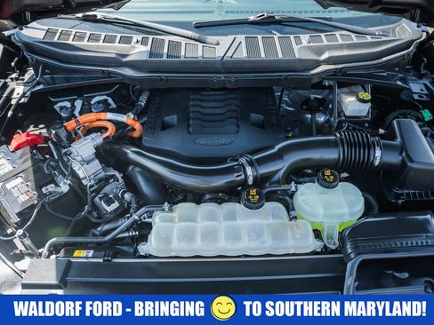 Used 2023 Ford F150 XLT w/ Equipment Group 302A High image 22