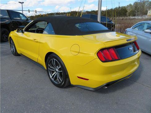 Used 2015 Ford Mustang Premium image 2