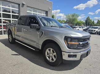 Used 2025 Ford F150 XLT w/ Equipment Group 301A Standard AWD/4WD video 1