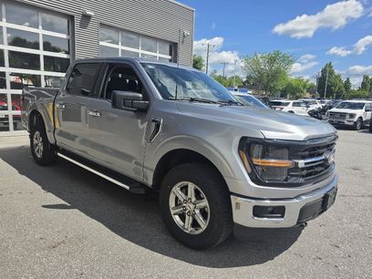 Used 2025 Ford F150 XLT w/ Equipment Group 301A Standard