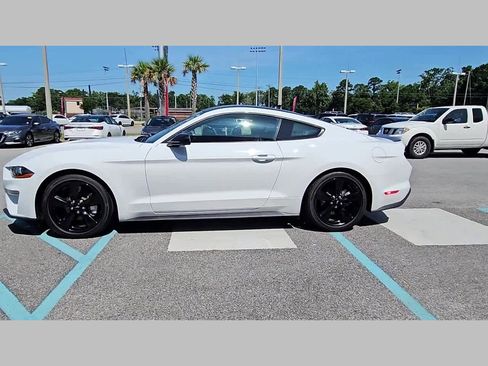 Used 2023 Ford Mustang Premium w/ Mustang Nite Pony Package image 21
