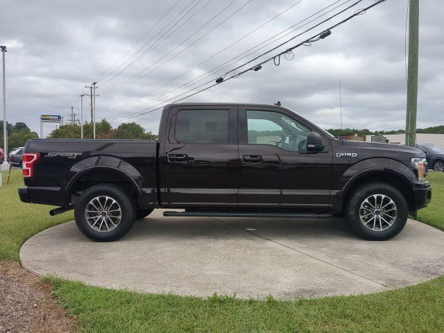 Used 2019 Ford F150 XLT w/ Equipment Group 302A Luxury AWD/4WD image 3