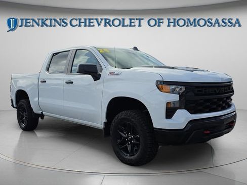Used 2024 Chevrolet Silverado 1500 Custom Trail Boss AWD/4WD image 1