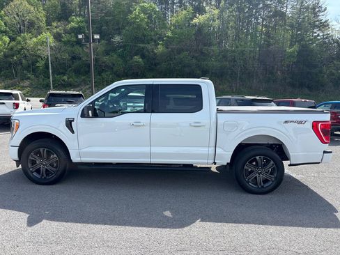 Used 2023 Ford F150 XLT w/ Equipment Group 302A High AWD/4WD image 2