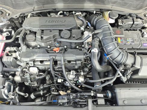 New 2026 Kia Seltos SX w/ SX Sunroof Package image 17