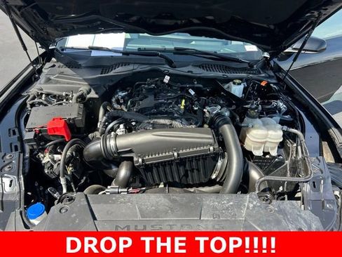 Used 2024 Ford Mustang Premium RWD image 11