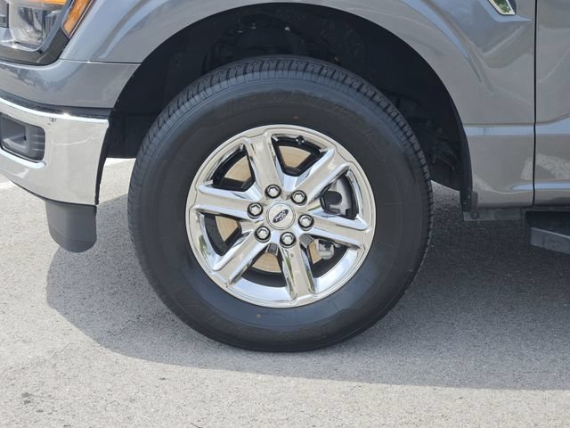 Used 2025 Ford F150 XLT w/ Equipment Group 301A Standard AWD/4WD image 12