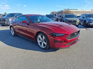 Used 2019 Ford Mustang Premium w/ Equipment Group 201A video 2