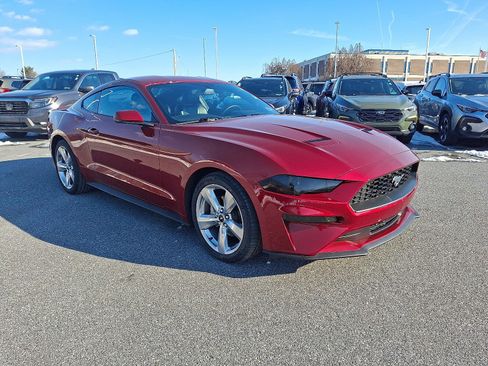 Used 2019 Ford Mustang Premium w/ Equipment Group 201A image 2