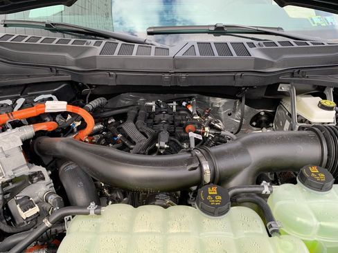 New 2025 Ford F150 XLT w/ Equipment Group 302A MID image 62