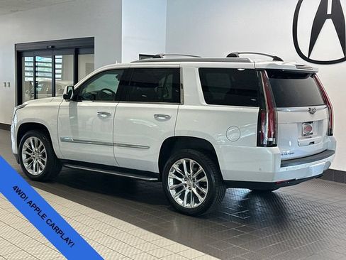 Used 2019 Cadillac Escalade Luxury AWD/4WD image 5
