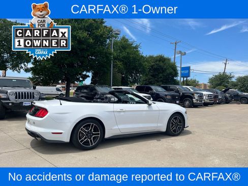 Used 2023 Ford Mustang Premium RWD image 2