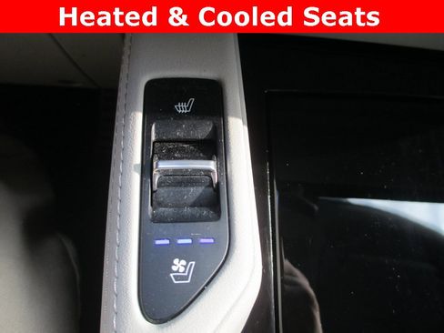 Used 2021 Kia Telluride SX w/ SX Prestige Package image 15