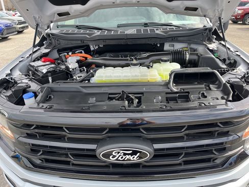 Used 2025 Ford F150 XLT w/ Equipment Group 302A MID image 25