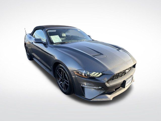 Used 2019 Ford Mustang Premium RWD image 7