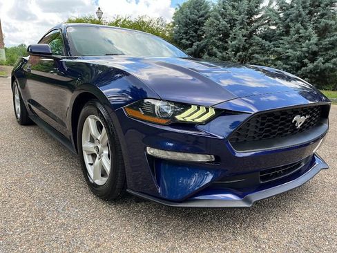 Used 2019 Ford Mustang Coupe RWD image 31