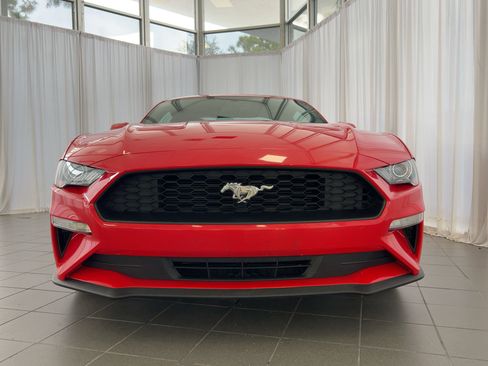 Used 2019 Ford Mustang Coupe image 6