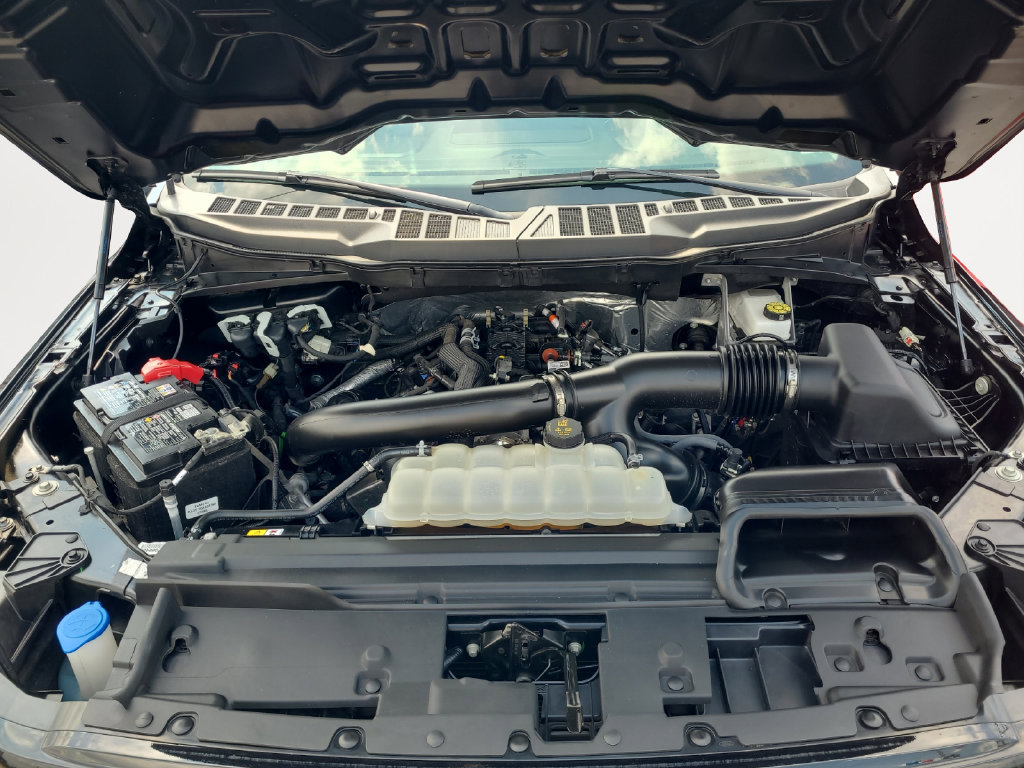 Used 2025 Ford F150 XLT w/ Equipment Group 301A Standard AWD/4WD image 18
