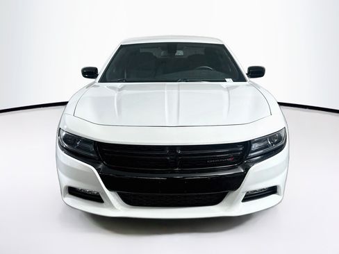 Used 2019 Dodge Charger SXT w/ Blacktop Package AWD/4WD image 2