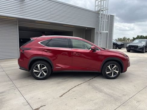 Used 2019 Lexus NX 300h AWD w/ Premium Package image 4