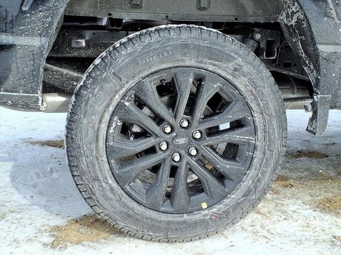 New 2026 Ford F150 XLT w/ Equipment Group 302A MID image 11