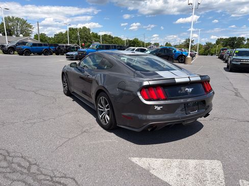 Used 2017 Ford Mustang Premium w/ Equipment Group 201A RWD image 6