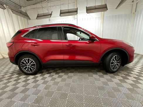 Used 2021 Ford Escape SEL w/ Technology Package FWD image 21