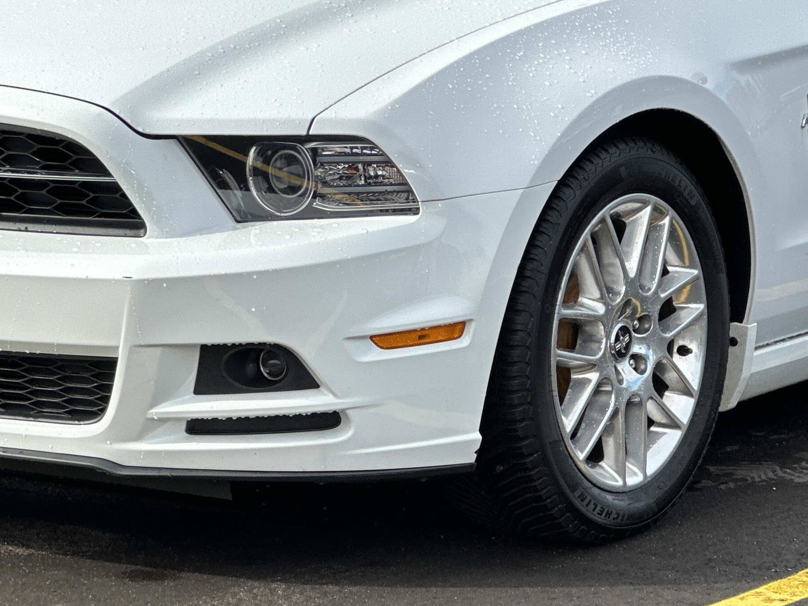 Used 2014 Ford Mustang Premium w/ Equipment Group 202A RWD image 7