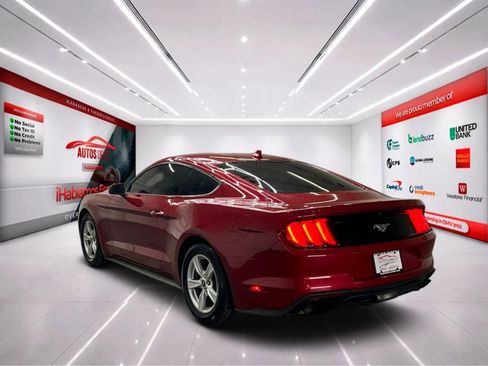 Used 2021 Ford Mustang EcoBoost image 6