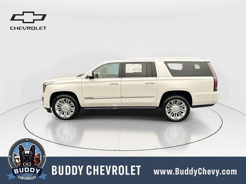 Used 2020 Cadillac Escalade ESV Platinum AWD/4WD image 5