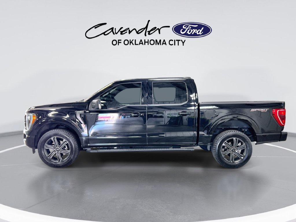 Used 2023 Ford F150 XLT w/ Equipment Group 302A High AWD/4WD image 5