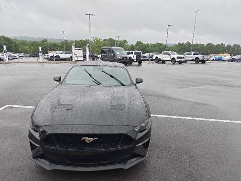 Used 2022 Ford Mustang GT w/ Equipment Group 301A RWD image 7