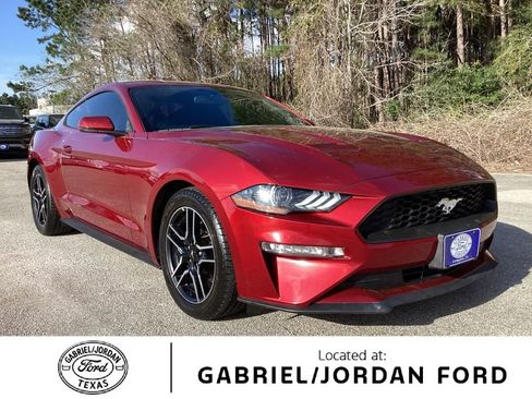 Used 2019 Ford Mustang Premium w/ Enhanced Security Package image 1