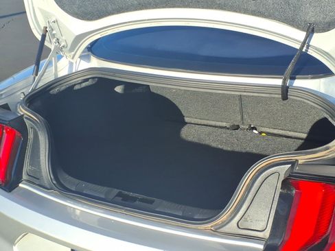 Certified 2019 Ford Mustang Coupe w/ Equipment Group 101A image 14