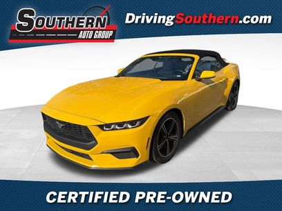 Used 2024 Ford Mustang Premium