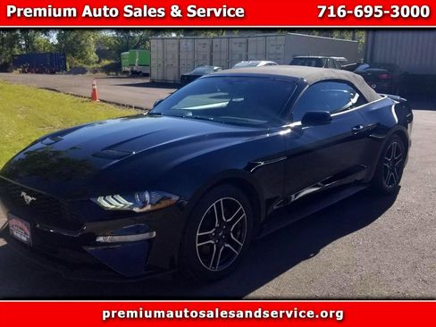 Used 2020 Ford Mustang Premium image 1